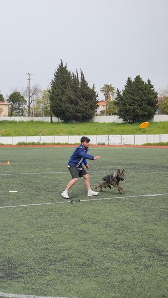 İş ve Spor Köpekleri