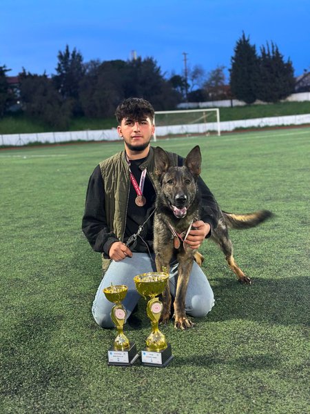 Köpek Eğitmeni